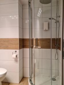 Kúpeľňa v ubytovaní AMBER APARTAMENt 11