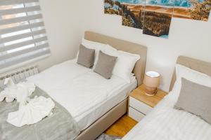 een slaapkamer met twee bedden en een raam bij Apartman Amsterdam Jahorina in Jahorina