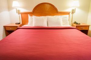 Voodi või voodid majutusasutuse GuestHouse Inn Fife toas