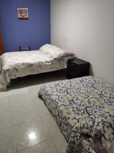 Gallery image of Kings House in San Andrés
