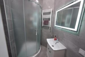 een badkamer met een douche, een wastafel en een spiegel bij New cozy apartment near Opera House and “Malevich” in Lviv