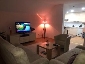 sala de estar con sofá y TV en Apartments Dedic, en Dubrave Gornje
