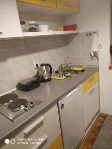 Kuchyň nebo kuchyňský kout v ubytování Apartman Zubac, Vrnjacka Banja