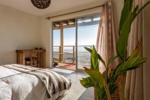 una camera con un letto e una pianta di fronte a una finestra di Sudeste Hostel a Pichilemu
