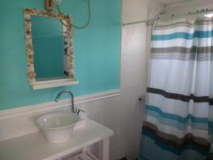 a bathroom with a sink and a shower curtain at Cabaña Buccia in Mar del Plata +35 photos