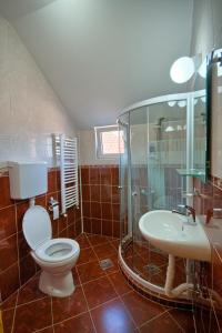 a bathroom with a toilet and a shower and a sink at Guest House Villa Mir in Kragujevac