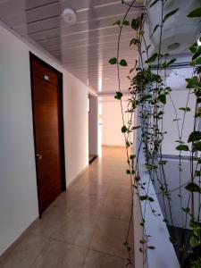 Fotografie z fotogalerie ubytování Hotel Central Fusa v destinaci Fusagasuga