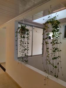Fotografie z fotogalerie ubytování Hotel Central Fusa v destinaci Fusagasuga