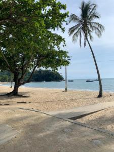 a sandy beach with two palm trees and the ocean at Praia das Cigarras São Sebastião a 50 metros da praia - Wi-Fi - 500 Mega in São Sebastião