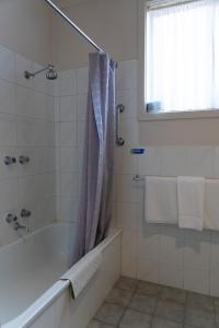 ein Bad mit einer Badewanne und einem Duschvorhang in der Unterkunft Nunawading Motor Inn in Nunawading