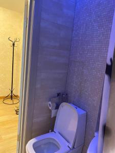 リュベルツィにあるОтличная квартираの青いタイル張りの壁、トイレ付きのバスルーム