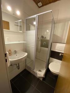 a bathroom with a shower and a sink and a toilet at Hubertus-Hof in Werne an der Lippe