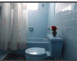 Un baño azul con aseo y una bañera con un jarrón de flores. en Suzette's Homestay, en Lucea