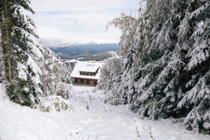 Το Gamsberg Hütte τον χειμώνα