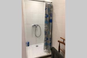 uma casa de banho com chuveiro e cortina de chuveiro em Studio sympathique proche de la gare et l’hopital em Montereau-faut-Yonne