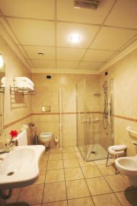 a bathroom with a shower and a sink and a toilet at Hotel Domidea in Rome