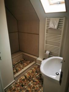 a bathroom with a shower with a toilet and a sink at Cabana "Trei Brazi " Retezat in Râu de Mori