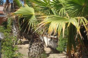A garden outside Cozy House, Santa Maria del Focallo, Fireplace