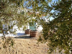 a view of a house through the branches of a tree at One bedroom apartement with sea view and furnished garden at Montallegro 2 km away from the beach in Montallegro