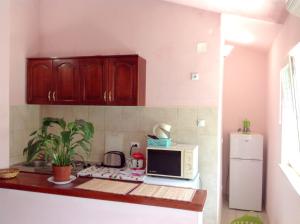 eine Küchentheke mit einer Mikrowelle und einem Kühlschrank in der Unterkunft 2 bedrooms appartement at Radovici 900 m away from the beach with furnished balcony and wifi in Tivat
