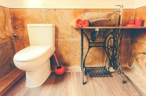a bathroom with a white toilet in a room at 2 bedrooms house with shared pool furnished garden and wifi at Canamero in Cañamero
