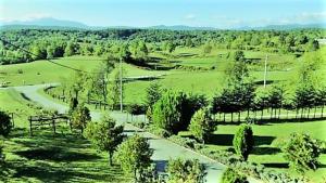 Fotografie z fotogalerie ubytování Charming Mountain View Apartment in Rakovica - 57 sqm v destinaci Rakovica