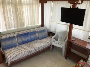 アーブシャ島にあるAvsa Apartのソファ、デスク、テレビが備わる客室です。