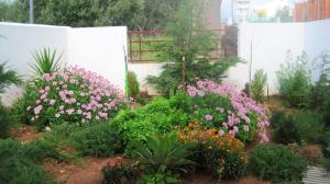 Een tuin van 3 bedrooms house with enclosed garden at Alandroal