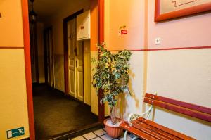 Fotografie z fotogalerie ubytování Best Spot Hostel v Praze