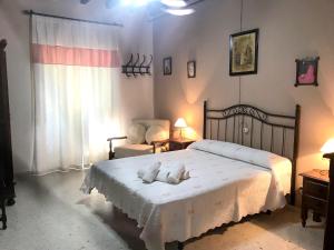 Un pat sau paturi într-o cameră la 3 bedrooms villa with private pool and furnished terrace at El Saucejo