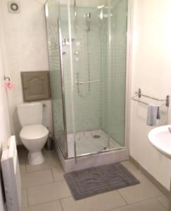 a bathroom with a shower and a toilet and a sink at Appartement d'une chambre avec terrasse amenagee et wifi a Cornimont a 3 km des pistes in Cornimont