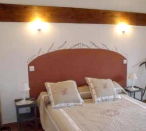 sypialnia z dużym łóżkiem z 2 poduszkami w obiekcie Appartement de 2 chambres avec piscine partagee jardin clos et wifi a Monteux w mieście Monteux