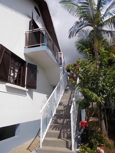 una escalera que conduce a un edificio con una palmera en Appartement de 2 chambres avec vue sur la mer terrasse amenagee et wifi a Saint Paul, en Saint-Paul