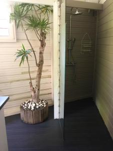Koupelna v ubytování Maison de 2 chambres avec piscine privee jardin amenage et wifi a Saint Joseph a 6 km de la plage