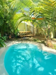 una gran piscina azul en un patio con palmeras en Maison de 2 chambres avec piscine privee jardin amenage et wifi a Saint Joseph a 6 km de la plage, en Saint-Joseph