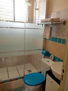 a bathroom with a shower and a toilet and a sink at Maison d'une chambre avec vue sur la mer piscine privee et jacuzzi a Le Moule in Le Moule