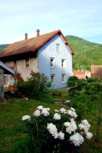 a blue house with flowers in front of it at Appartement de 3 chambres avec jardin amenage et wifi a Plancher les Mines a 7 km des pistes in Plancher-les-Mines