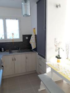 eine Küche mit einem Waschbecken und einem Tisch darin in der Unterkunft Maison de 2 chambres avec jardin clos et wifi a Pujaut in Pujaut