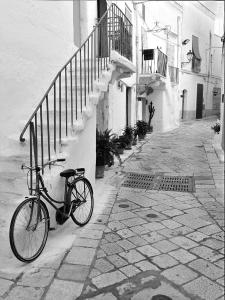 Cykling vid eller i närheten av 2 bedrooms apartement with enclosed garden and wifi at Torre Guaceto 2 km away from the beach