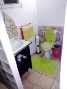 baño con aseo verde y lavamanos en Appartement d'une chambre avec jardin amenage et wifi a Saint Esprit en Quartier Morne Acajou
