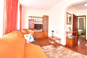 a living room with a couch and a television at One bedroom appartement with sea view terrace and wifi at Lajes Do Pico in Lajes do Pico