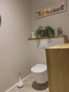 Un baño con un inodoro blanco en una habitación. en Maison charmante au Moule avec jacuzzi, en Le Moule