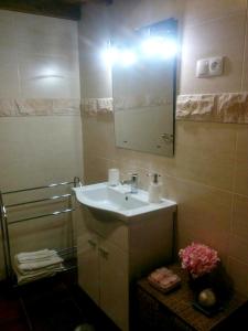 y baño con lavabo y espejo. en One bedroom house with shared pool furnished terrace and wifi at Santarem, en Santarém