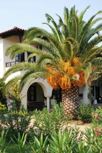 Zahrada ubytování Assa Maris Beach Hotel