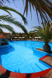 a large swimming pool with a palm tree at Assa Maris Beach Hotel in Pyrgadikia