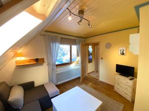 sala de estar con sofá y TV en Ferienhaus Robin en Titisee-Neustadt