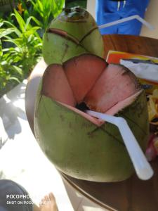 una fruta verde en un plato con un palillo en Green Coconut Cottage en Ubud