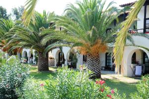 Zahrada ubytování Assa Maris Beach Hotel