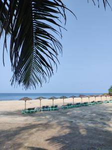 a row of beach chairs and umbrellas on a beach at Silent Beach Resort in Mandrem
