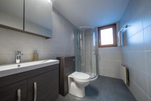 ナンダにあるChalet Christyのトイレ、シャワー、洗面台を備えたバスルーム